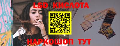 стаф Гатчина