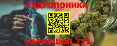 стаф Гатчина