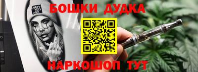 стаф Гатчина