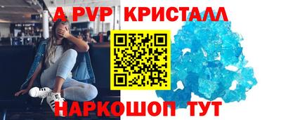 стаф Гатчина