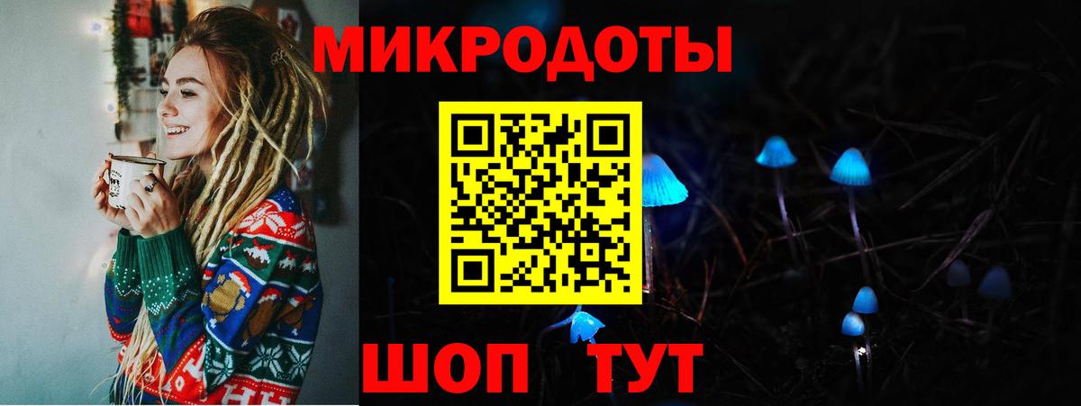 Галлюциногенные грибы Psilocybine cubensis Кисловодск