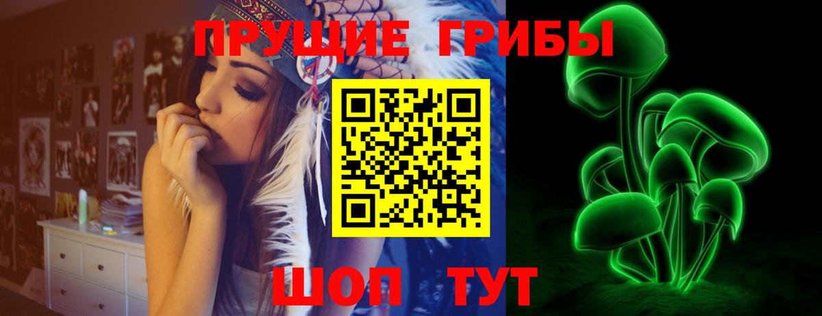 Псилоцибиновые грибы прущие грибы  Вход с VPN  Кисловодск 