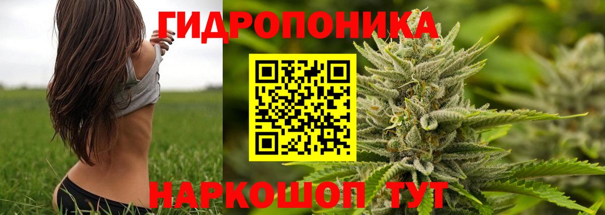 Кисловодск  МАРИХУАНА сатива  Марихуана сатива  Канабис AK-47  Канабис тримм  Вход с VPN 